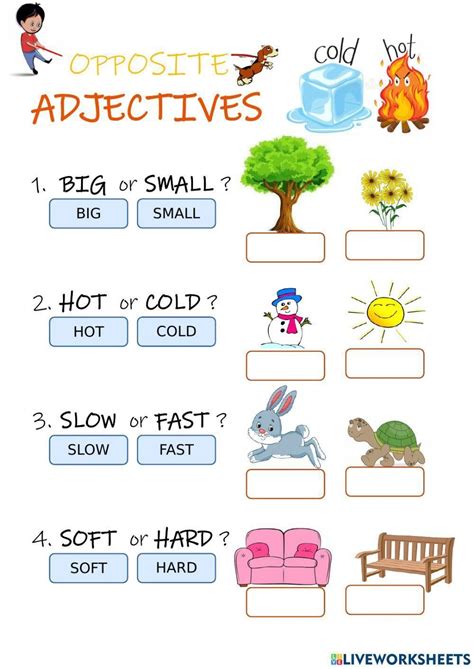 Opposite Adjectives Worksheet for Primary School