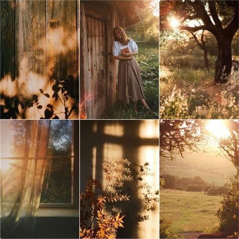 Таинственный сад | Цитаты | Стихи 2024 | ВКонтакте