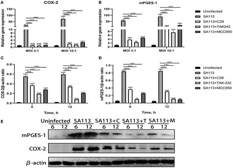 Frontiers Staphylococcus Aureus Increases Prostaglandin E Secretion