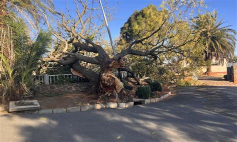 High Winds Cause Power Outages And Topple Trees Northern Natal News