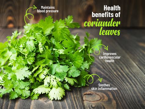 Health Benefits Of Coriander Leaves