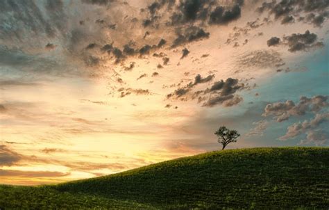 Wallpaper Field Clouds Tree Field Clouds Tree Marius Bodea For