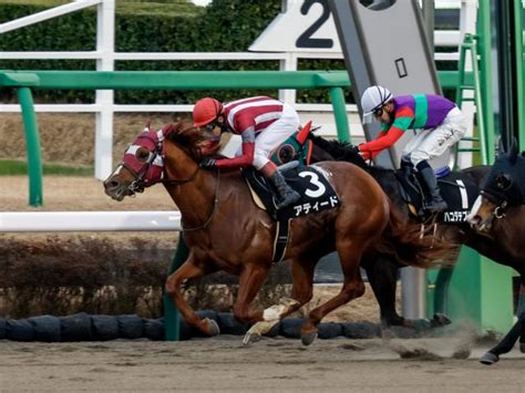 【ジャニュアリーs結果】アティードがゴール前で抜け出してオープン初v 競馬ニュース Netkeiba