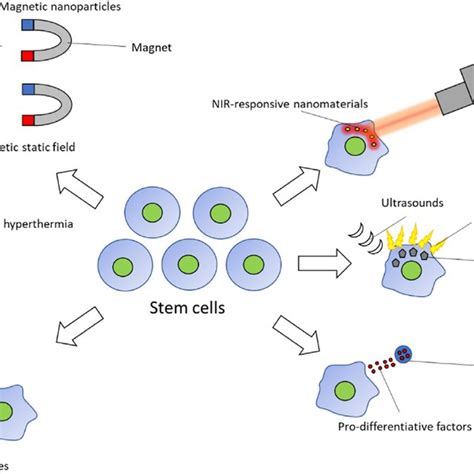 The Scheme Summarizes The Active Nanomaterials Based Approaches To