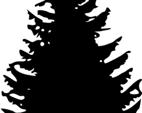 Pinetree Clipart Pine Tree Black And White Clipart Png Download