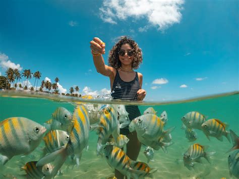 Melhores Praias Do Nordeste Para Voc Conhecer No Ver O