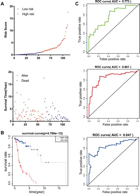 Prognostic Gene Signature Of The Eight Genes In The Lscc Patients Tcga