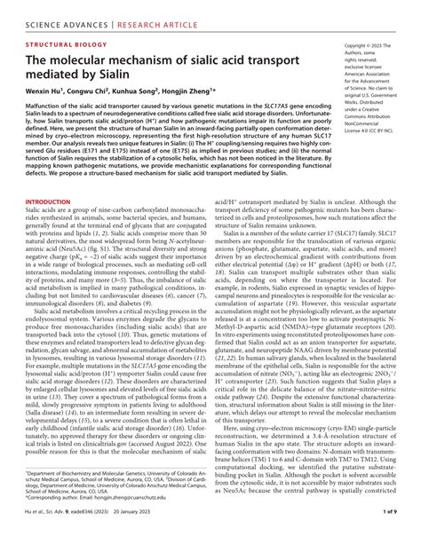 PDF The Molecular Mechanism Of Sialic Acid Transport Mediated By Sialin