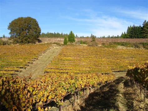 Fall colors in Apple Hill, El Dorado County | Photo: Apple Hill Harvest ...