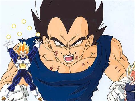 Vegetas Wrath Vegeta Photo 16348132 Fanpop