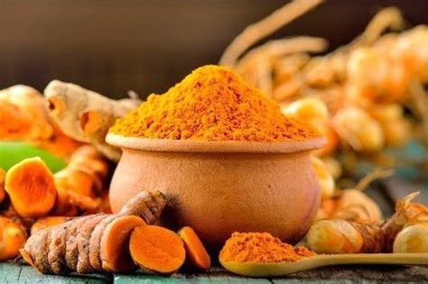 Куркума длинная, турмерик, желтый имбирь, свойства, описание растения ...