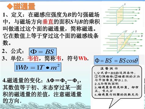 磁感应强度 磁通量第2课时word文档在线阅读与下载无忧文档