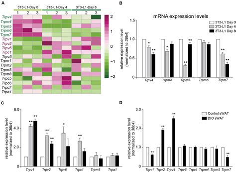 Frontiers A Transcriptomic Analysis Reveals Novel Patterns Of Gene