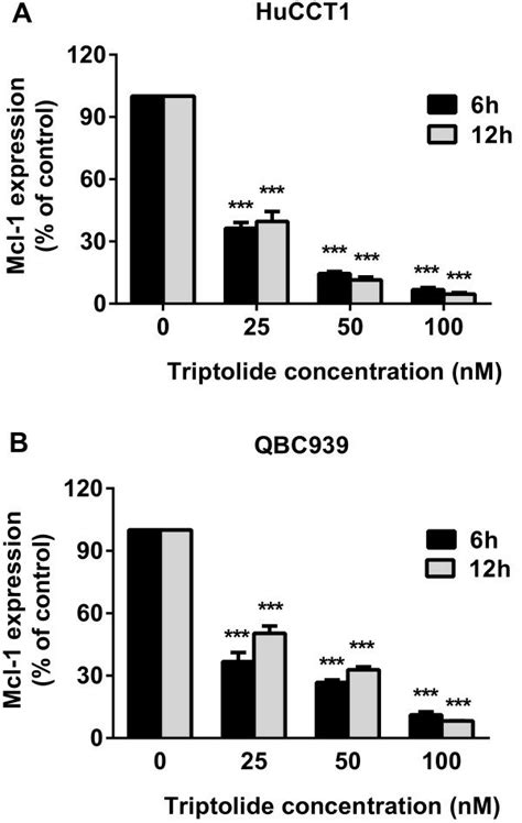 Triptolide Inhibited Mcl 1 MRNA Expression In HuCCT1 And QBC939 Cells