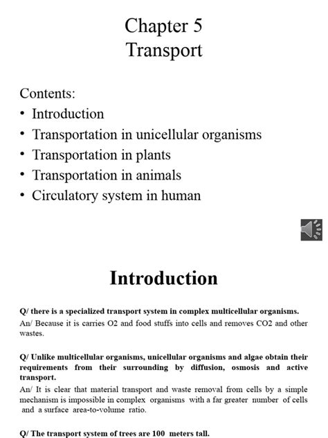 Chapter 5 Transport Pdf Stoma Osmosis