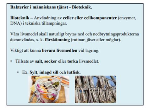 Bakterier I M Nniskans Tj Nst Flashcards Quizlet