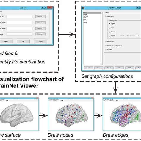 (PDF) BrainNet Viewer: A Network Visualization Tool for Human Brain ...