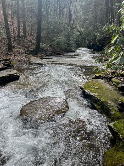 7.57+/-acres Wooded Property with Beautiful Creek | Rhea County