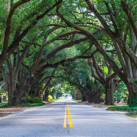 Aiken, South Carolina - Bank Locations - Southern Bank