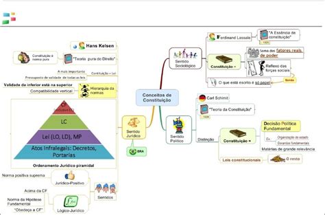 Mapas Mentais Sobre Sentidos Da ConstituiÇÃo Study Maps