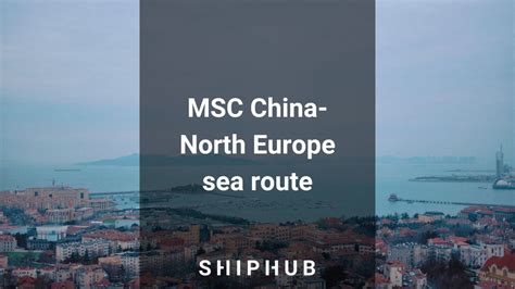 Msc China North Europe Sea Route Shiphub