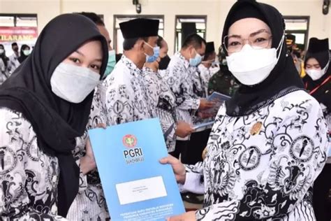 Selamat Bagi Honorer Tenaga Pendidik Bkn Keluarkan Surat Siaran Pers