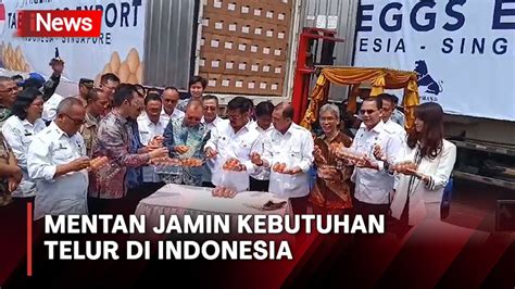 Ekspor Ratusan Ribu Telur Menteri Pertanian Jamin Stok Telur Di