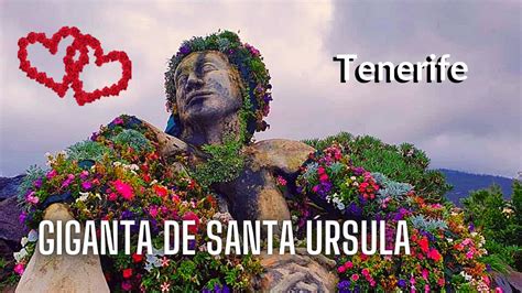 GIGANTA DE SANTA ÚRSULA tenerife islascanarias YouTube