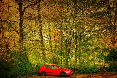 Car Parking Lot Forest Free Photo On Pixabay Pixabay