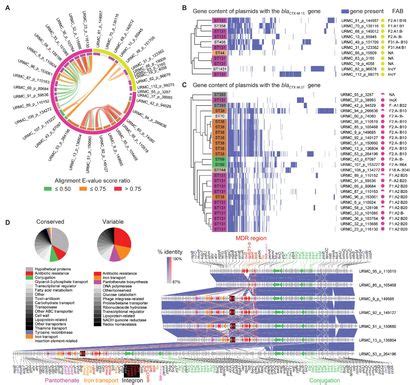 Frontiers Genomic Surveillance Of Ceftriaxone Resistant Escherichia