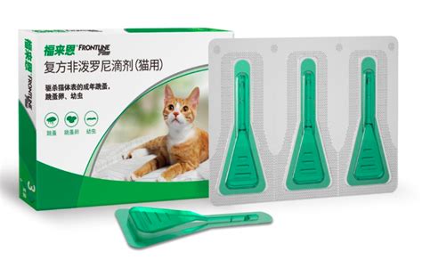 猫驱虫多久一次？不注意会有大麻烦 知乎