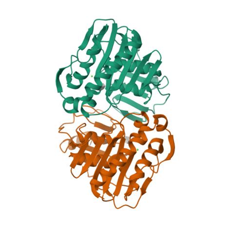 RCSB PDB 1LBZ Crystal Structure Of A Complex P32 Crystal Form Of