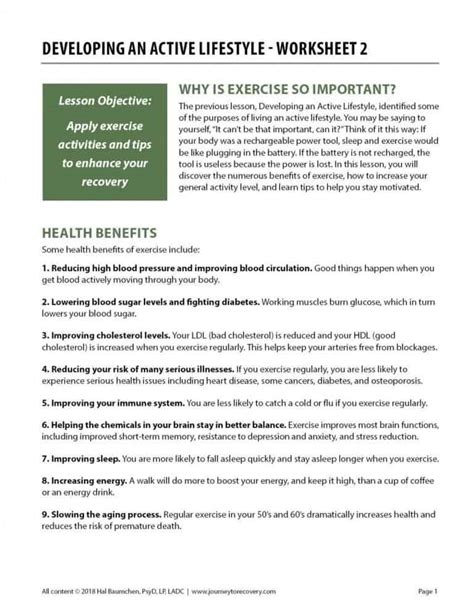 Developing An Active Lifestyle Worksheet 2 Cod Journey To Recovery