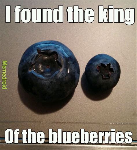 Willy Wonka Blueberry Meme