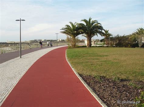 Fotogaleria Das Ciclovias Da Frente Ribeirinha Ciclovias De Esposende