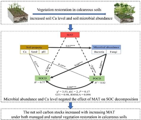 喀斯特植被恢复的土壤碳固定效应对区域水热梯度响应取得进展 亚热带农业生态研究所