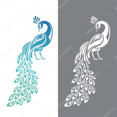 Peacock Stock Vector Image By ©maglyvi 68608723