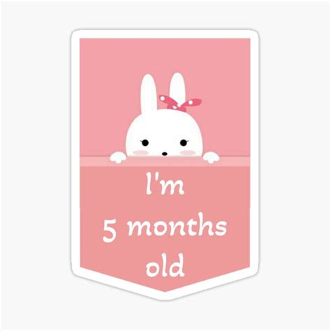 Baby Girl Milestone 5 Months Sticker For Sale By Coolar Redbubble