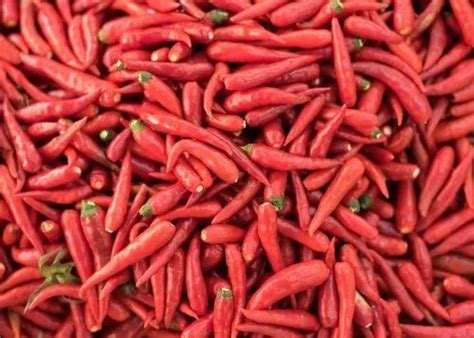 Vedavathi Spices Organic Fresh Red Chilli For Cooking Packaging Size