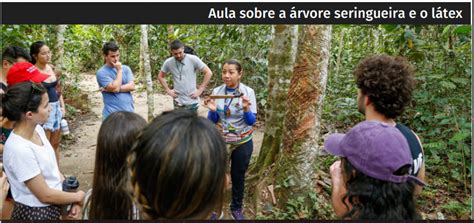 Expedições Amazônia GT Bioeconomia Nacional Instituto de Engenharia