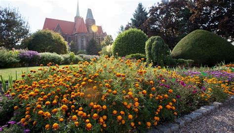 Ogród Botaniczny we Wrocławiu 2024 Kiedy otwarcie ceny biletów