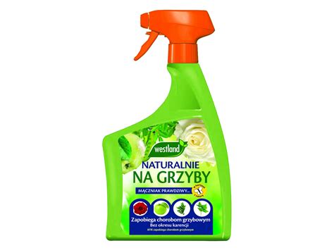 Naturalny Spray Na Choroby Grzybowe Ml Zielonym Do G Ry