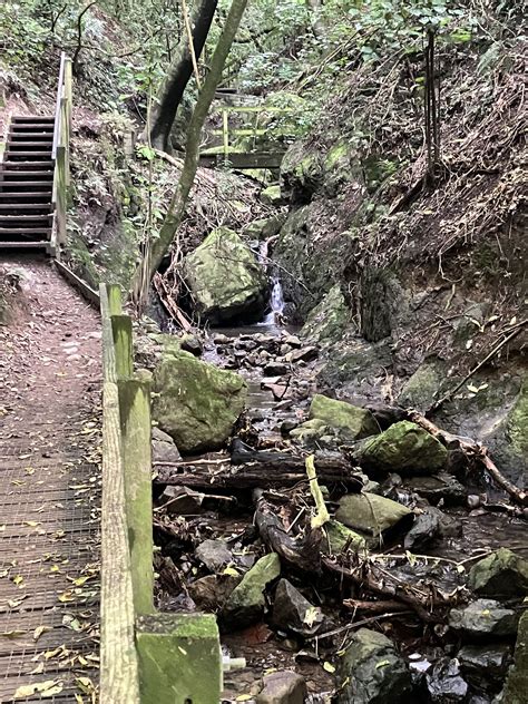 Manawatu Gorge Track Manawatu Wanganui Trails Photo Gallery Wild