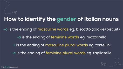 Masculine Vs Feminine How Grammatical Gender In Italian Works Step