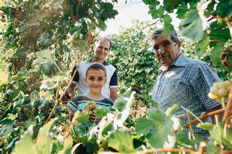 Azienda Casamiglio La Pioppa Cantina Di Produzione Vini