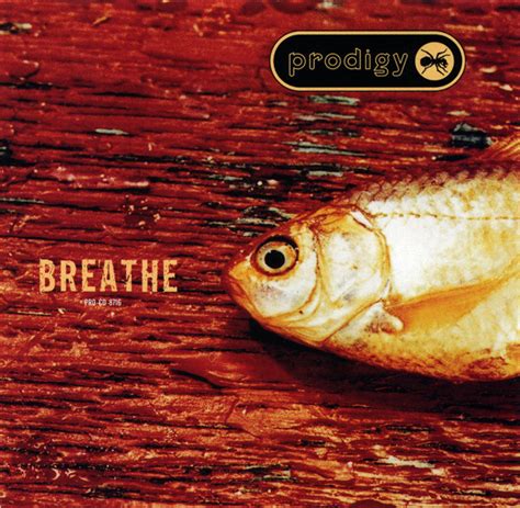 Prodigy* - Breathe (1996, CD) | Discogs