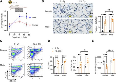 Biological Sex Differences In Renin Angiotensin System Enzymes ACE And ACE2 Regulate Normal