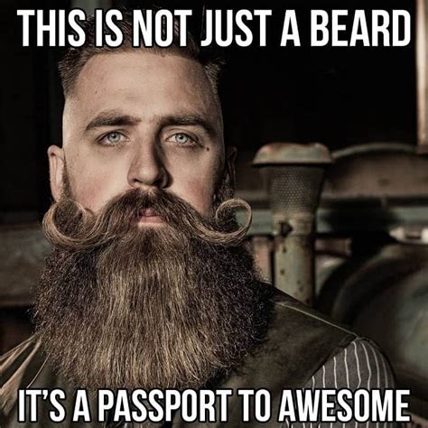 50 Funny Beard Memes Thatll Definitely Make You Laugh