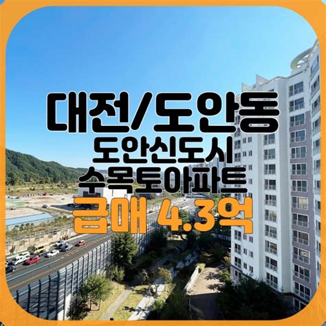 대전도안동 도안 수목토아파트 34평 B타입구조 매매 급매물 네이버 블로그