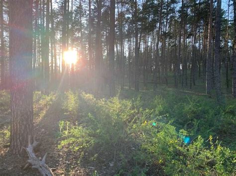 Catherine Free Photos Nude Pics Xhamster